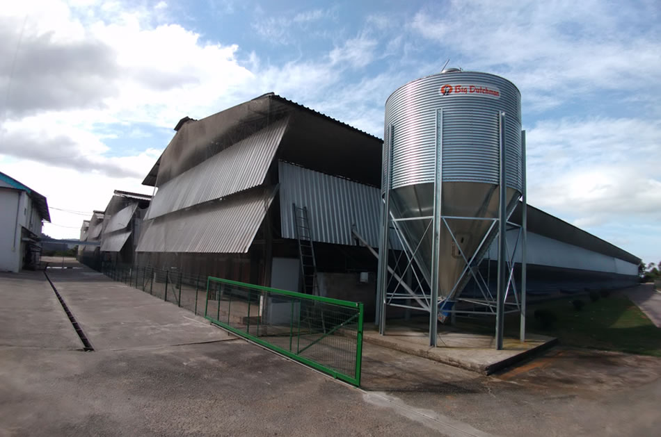 Imagem institucional